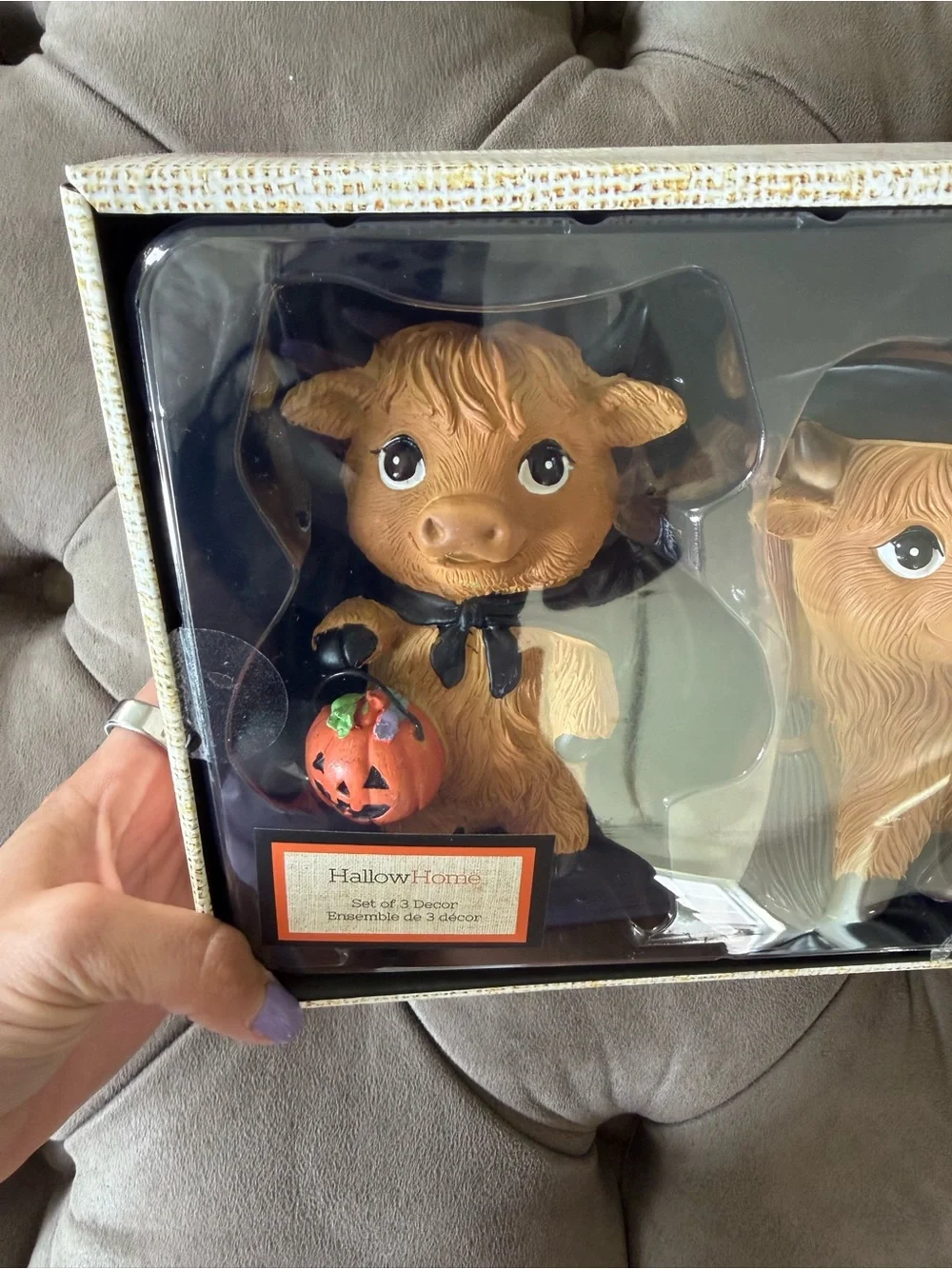 NWT Halloween Highland Cow Hallow Home 3 Piece Decor Set Vampire Witch Cape